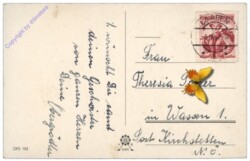 H.B. Wien OFS 193: Kücken auf Tisch