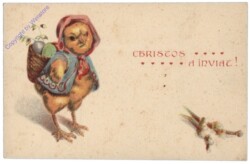 Kücken mit Korb auf dem Rücken