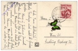 Grapha: Osterkücken