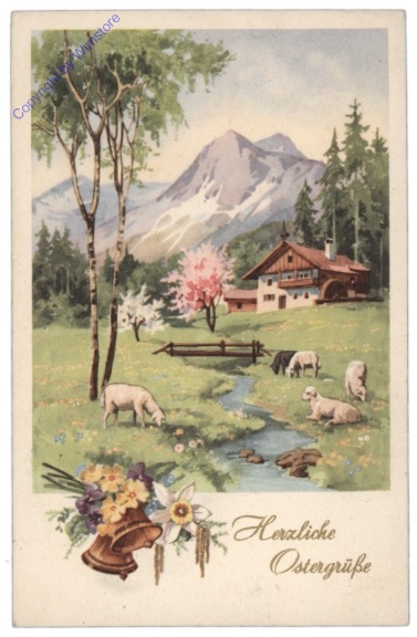 Bachufer mit Schafen