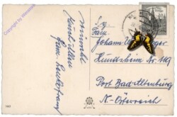 ak109375a H.B. Wien 1663: Kücken mit Blumen