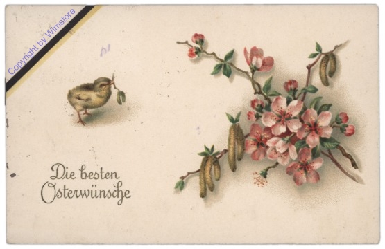 Kücken mit einem Zweig im Schnabel