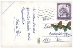 ak109406a Mädchen mit Eierkorb und Kücken