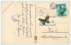 Marterl unter Birken