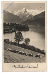 Aussicht auf einen See