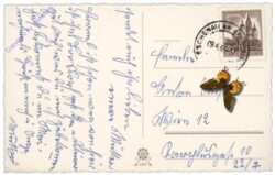 H.B. Wien 720: Enten spielen Seilspringen
