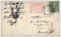 Mädchen mit Zweigen