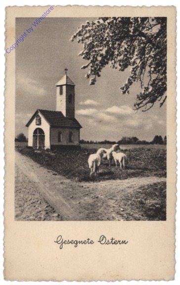 Kirche und Schafe