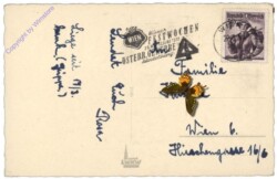 Palmzweig