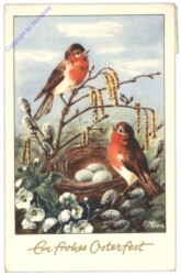 H.B. Wien OFS 279: Vogelnest