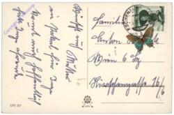 H.B. Wien OFS 517: Hase mit Kücken