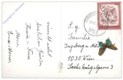 ak109530a Rauchfangkehrer und Schweinchen