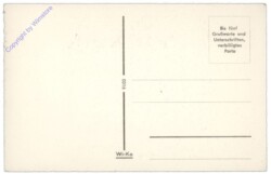 Rauchfangkehrer vor Dorf