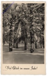 Verschneiter Wald