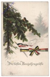 Vogerl auf Tanne