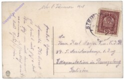 Vogerl auf Tanne