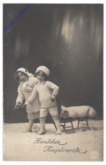 ak109586 Geschwister mit Ferkel