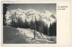 ak109608 Skifahrer