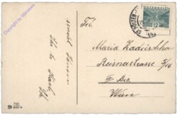 ak109614a Tannenzapfen mit Zweig