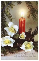 ak109622 Rote Kerze bei Christrosen
