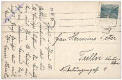 Tannen- und Stechpalmenzweige