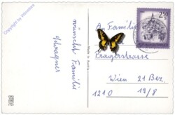 Zwei Engerl musizieren