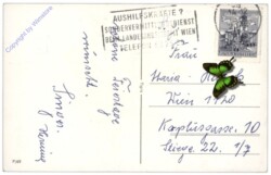 Kerze mit Weihnachtsstern