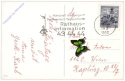 Glocken mit Zweigen und Masche