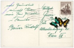 Kerze auf Tannenzweig