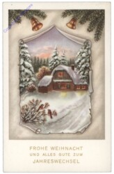 ak109721 Verschneites Haus mit Vögel