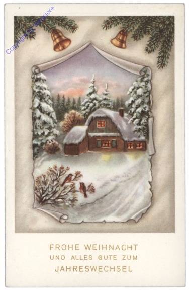 Verschneites Haus mit Vögel