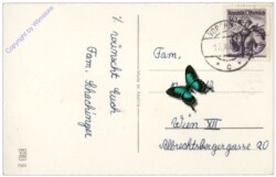 ak109721a Verschneites Haus mit Vögel