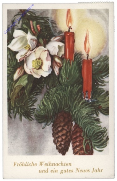 Kerzen auf Zweig mit Christrosen