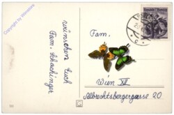ak109725a Verschneites Dorf mit Bach