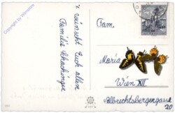 Kerzen auf Zweig mit Notenblatt "Stille Nacht"