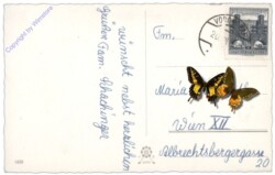 ak109739a Kerzen mit Gesteck