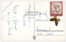 Kerzenständer vor Zweigen