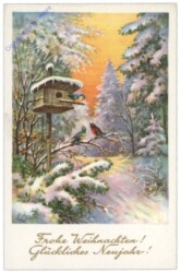 Vogerl vor einem Vogelhaus im Wald