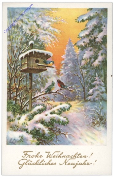 Vogerl vor einem Vogelhaus im Wald