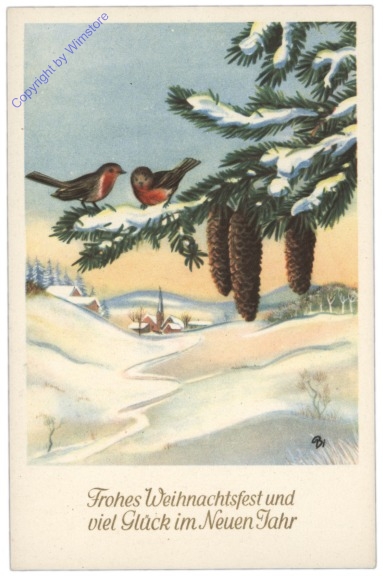 Vögel auf einem Zweig vor verschneiter Landschaft
