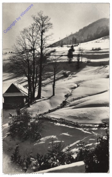 Verschneite Alm