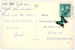 Kerze auf Zweig