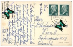 Kerze mit einer Schale Nüsse