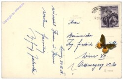 ak109832a Krippenszene