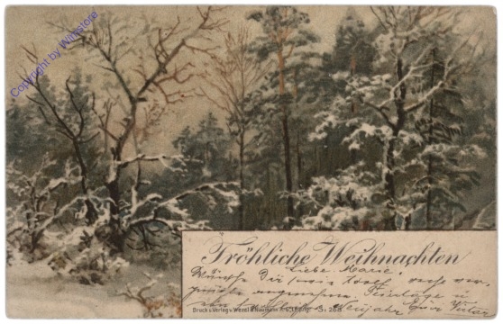 Verschneiter Wald