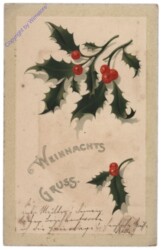 Stechpalmenzweige, Reliefkarte