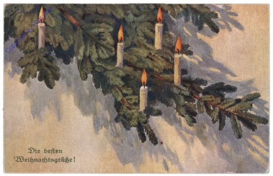 Christbaumzweig
