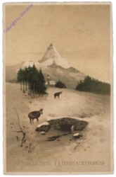 Rehe im Schnee