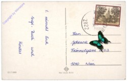 Laterne mit Sternen und Zweigen