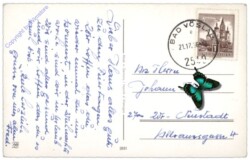 Verschneite Landschaft